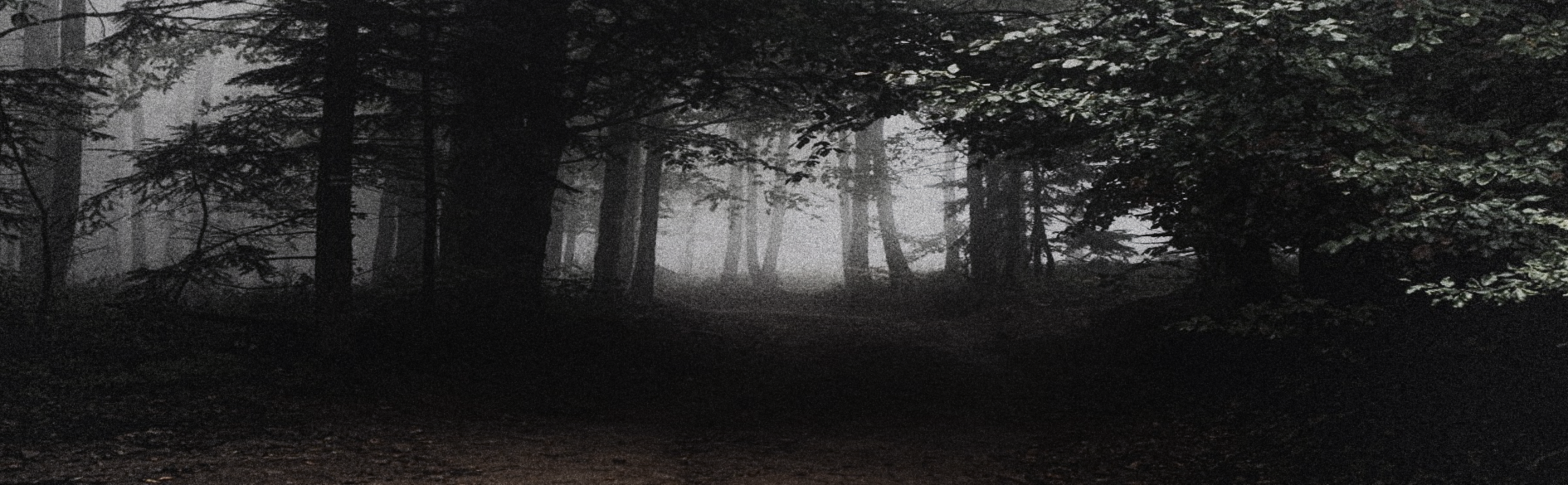 Walking the Old Crooked Road