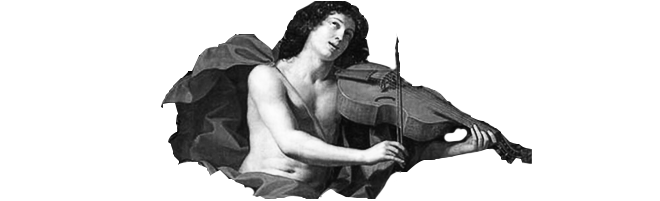 Writing Prompt 22nd oct 23 ( what Am i Working On )