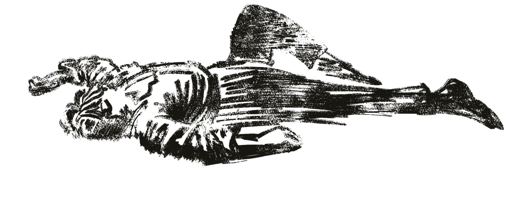 Writing prompt 7th Jan’ 24 (What Could I Do&nbsp;More)