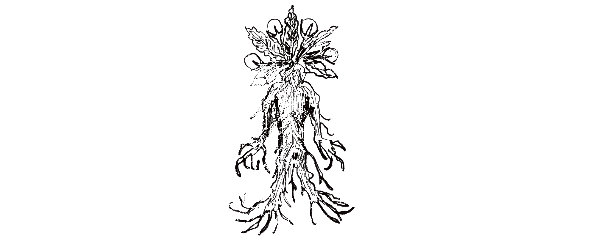 Under the Dragon Root (Book Review #22)
