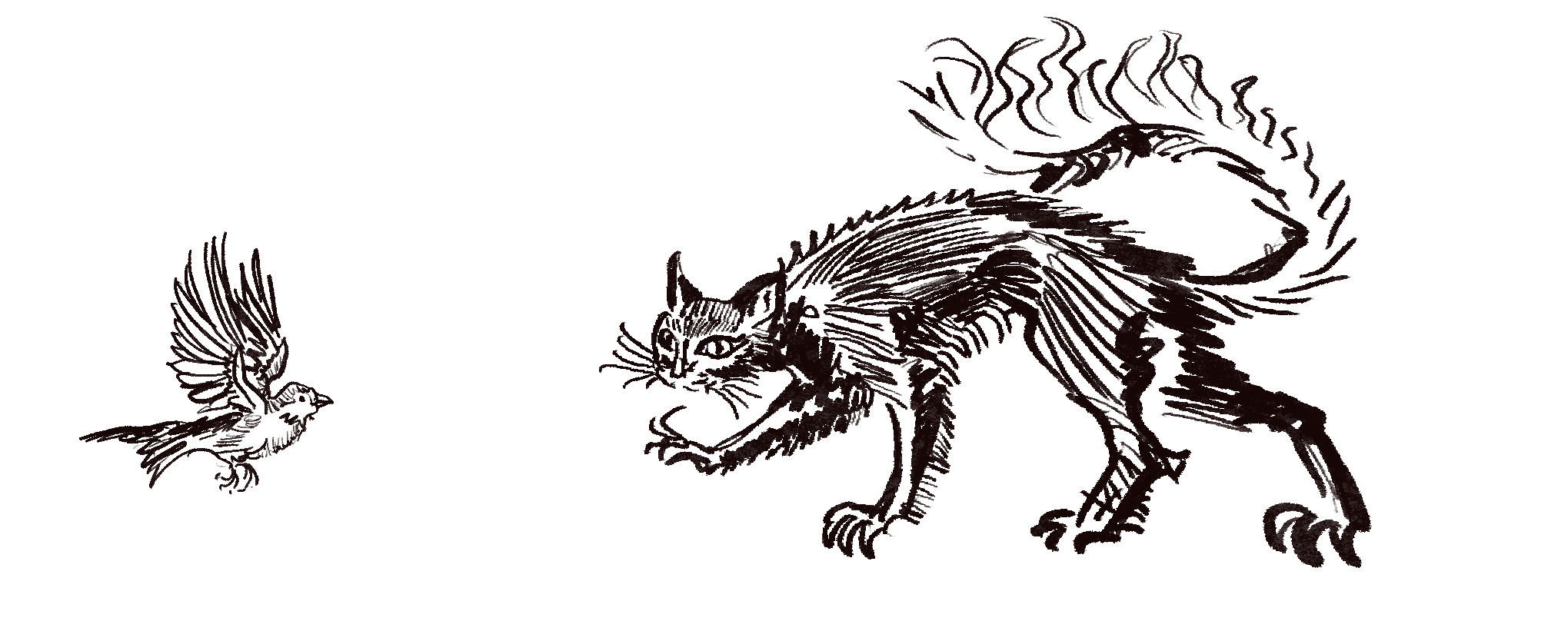 The Horrid Tale of the ‘Samhain’ Cat